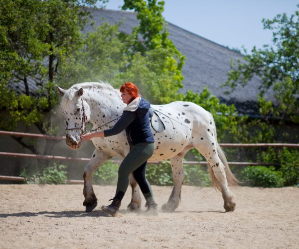 Gymnastizierendes Arbeiten