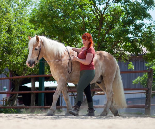Gesundheitsförderndes Training