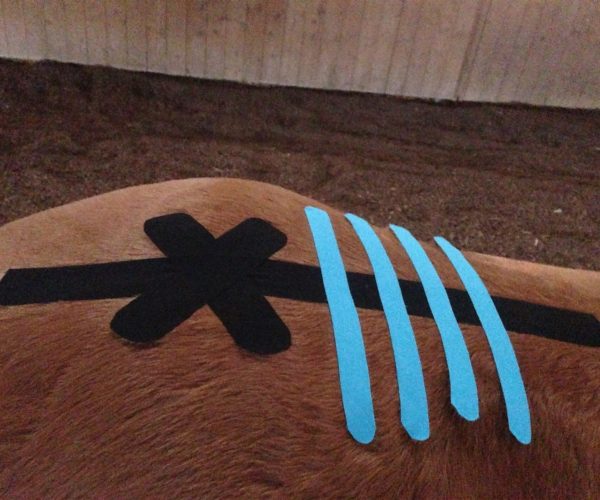 isg getapt (nur taps)